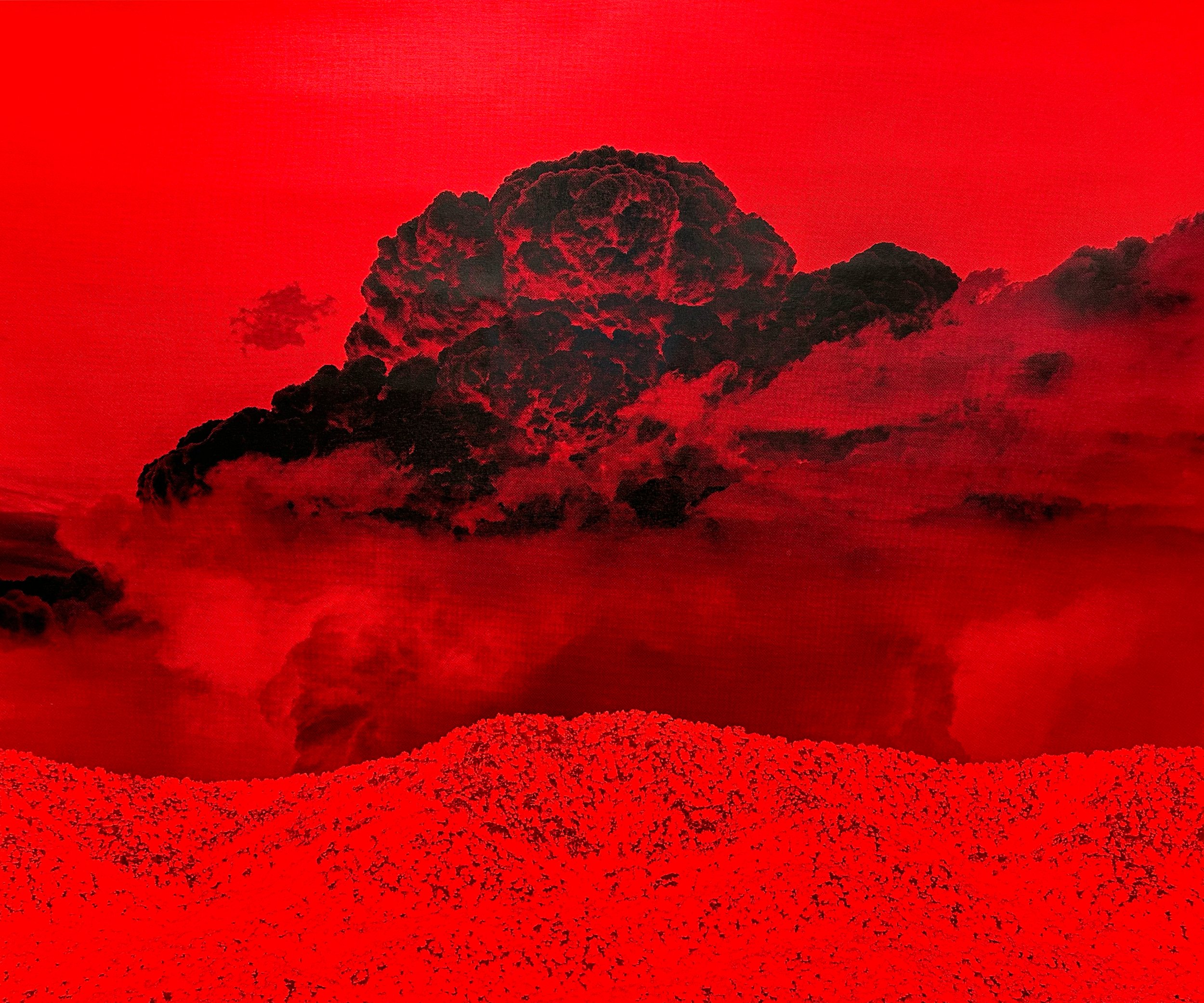 Work — Michael Namingha
